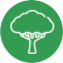 Tree Pollen